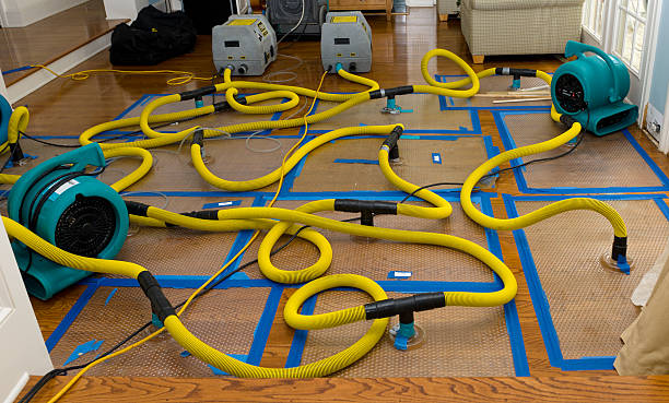 Professional Basement Flood Cleanup technician working in Del Rio, CA